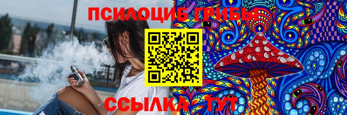 Галлюциногенные грибы Psilocybe  Вход с VPN  Черняховск 